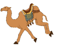 動(dòng)物運動(dòng)的方法有哪些特點(diǎn)是什么意思