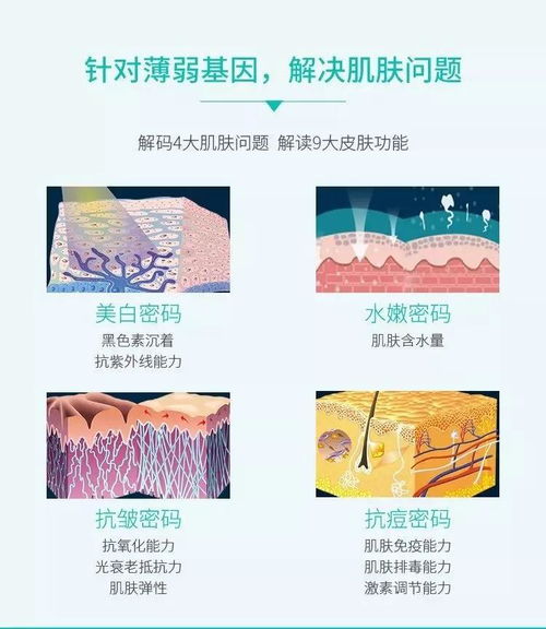 科學(xué)方法的層次不包括哪些內容是什么
