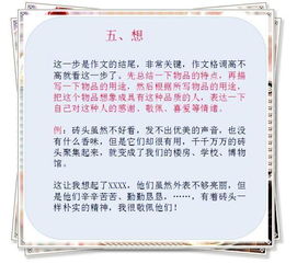 小學(xué)生寫(xiě)文章的方法有哪些內容