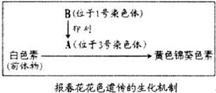 植物多倍體誘導采用哪些方法