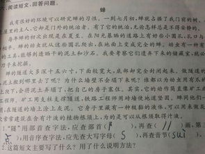 鯨的這篇文章有哪些說(shuō)明方法