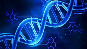 奇特性設想的處理方法有哪些