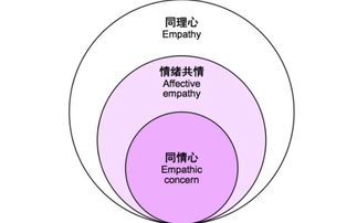 理論分析的方法有哪些特點(diǎn)是什么意思