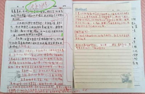 初中學(xué)生修改作文的方法有哪些