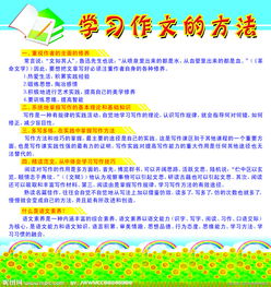 語(yǔ)文學(xué)生的學(xué)法方法有哪些