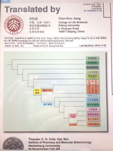植物分類(lèi)調查方法有哪些
