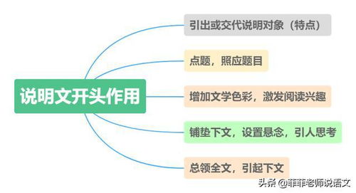 知識的寶庫用了哪些說(shuō)明方法