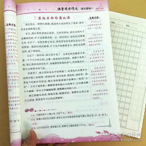 作文導入方法有哪些