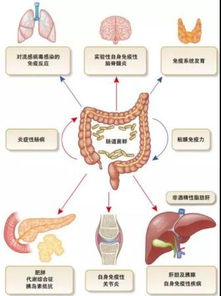 腸道菌群檢測(cè)方法有哪些