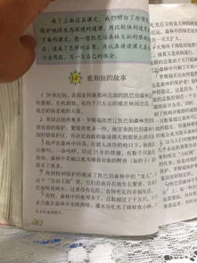 六級上冊第四單元說(shuō)明方法有哪些