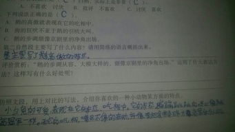 用說(shuō)明表達方法有哪些