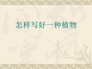 寫植物作文的方法有哪些特點
