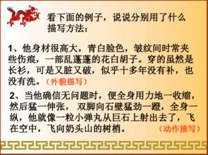 小學(xué)生常見(jiàn)的人物描寫(xiě)方法有哪些