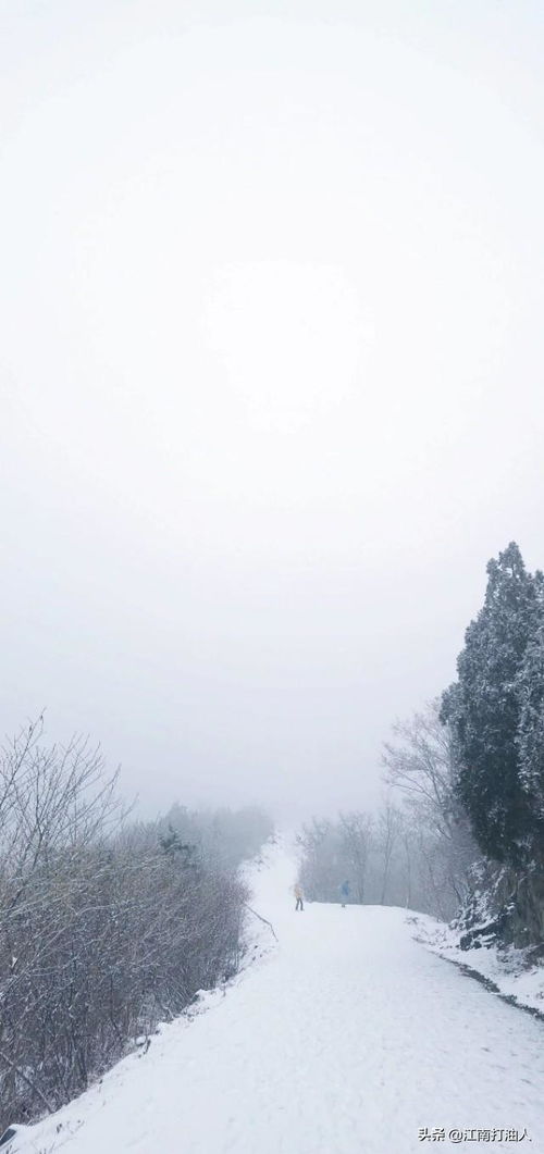 關(guān)于雪路的詩(shī)句