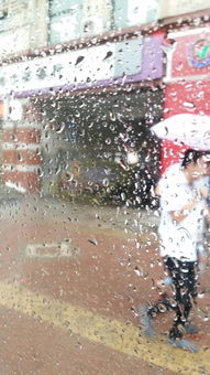 詩(shī)句,描寫(xiě),詩(shī)中,下雨