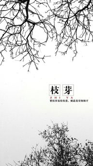 關于枝芽的詩句