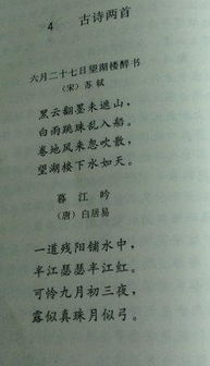 詩(shī)句,景物,兩首
