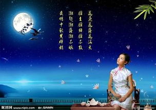 關(guān)于佳節思念的詩(shī)句