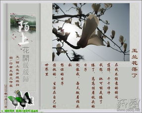 詩(shī)句,友人,相見(jiàn)