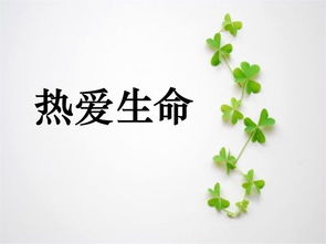 關(guān)于熱愛(ài)生命詩(shī)句