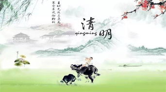 搜關(guān)于清明的詩(shī)句