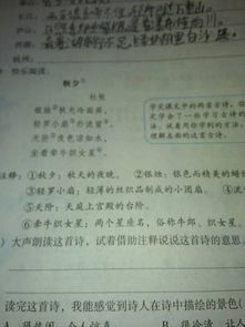 贊美泰山廬山長(cháng)江西湖的詩(shī)句古詩(shī)
