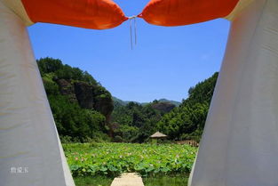 帶陌且關(guān)于愛(ài)情的詩(shī)句
