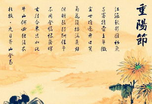 關(guān)于重陽(yáng)節的詩(shī)文詩(shī)句