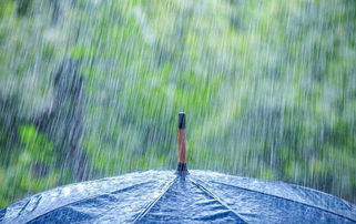 寫(xiě)大雨滂沱的古詩(shī),描寫(xiě)大雨滂沱的古詩(shī),大雨滂沱對應的下句