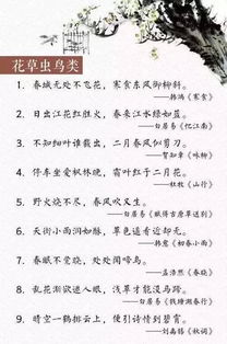 孟郊古詩(shī)句作文600字