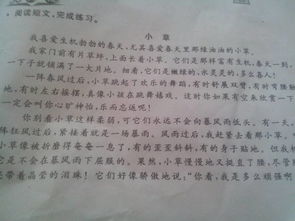 以古詩(shī)句開(kāi)頭贊美小草的作文