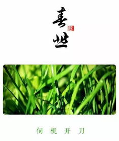 網(wǎng)上關(guān)于吃的詩句