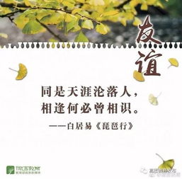 關(guān)于友誼的詩(shī)句
