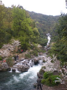 詩(shī)句,小溪,流動(dòng)