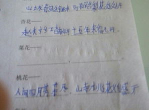 寫(xiě)出一句含有數字的古詩(shī),寫(xiě)出一句帶有數字的古詩(shī),寫(xiě)出兩句帶有數字的古詩(shī)