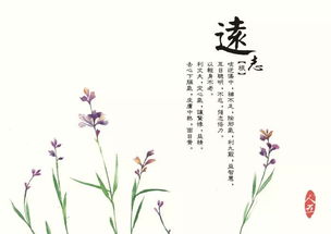 古詩(shī)中有四季的詩(shī)句有哪些