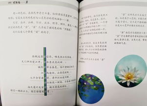 古詩(shī)中帶無(wú)的詩(shī)句