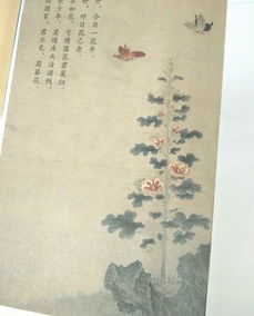 古詩(shī)文中時(shí)間的詩(shī)句