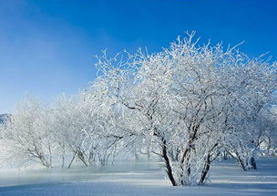 雪景,古詩(shī),詩(shī)句,贊美