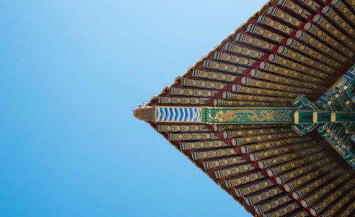 夏綠的詩(shī)句古詩(shī)