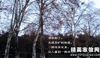 描寫(xiě)學(xué)校景色的古詩(shī)句