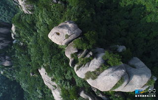 詩(shī)句,華峰