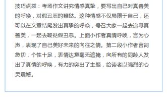 作文,詩(shī)句,結尾,理解