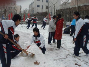 關(guān)于同學(xué)們打雪仗堆著(zhù)雪人的詩(shī)句