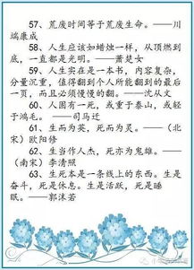 中國古詩(shī)句作文