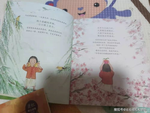 古詩(shī)中含有光明的詩(shī)句