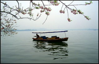 有關(guān)西湖的景色的詩(shī)句古詩(shī)