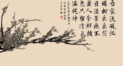 古詩(shī)詩(shī)句大全加意思