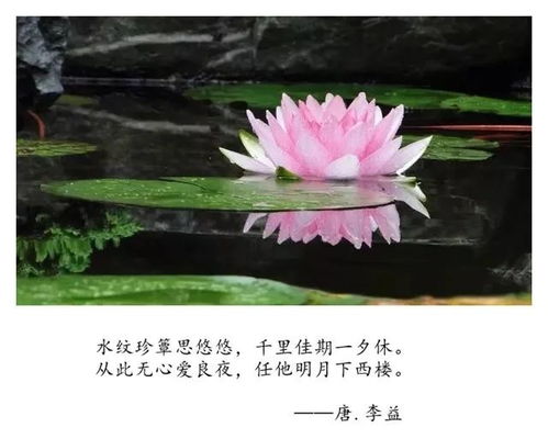 詩(shī)句,療傷,時(shí)間