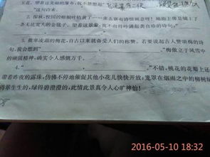 古詩(shī)句填空有答案